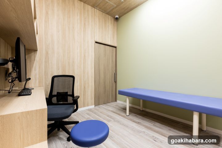 Akihabara Gastrointestinal Endoscopy Clinic