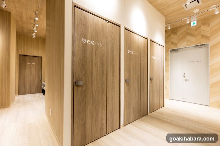 Akihabara Gastrointestinal Endoscopy Clinic