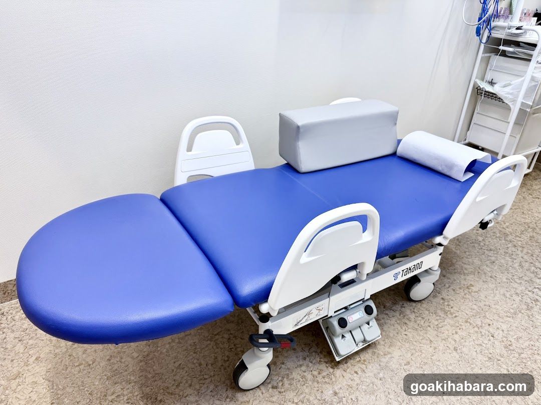 Akihabara Gastrointestinal Endoscopy Clinic
