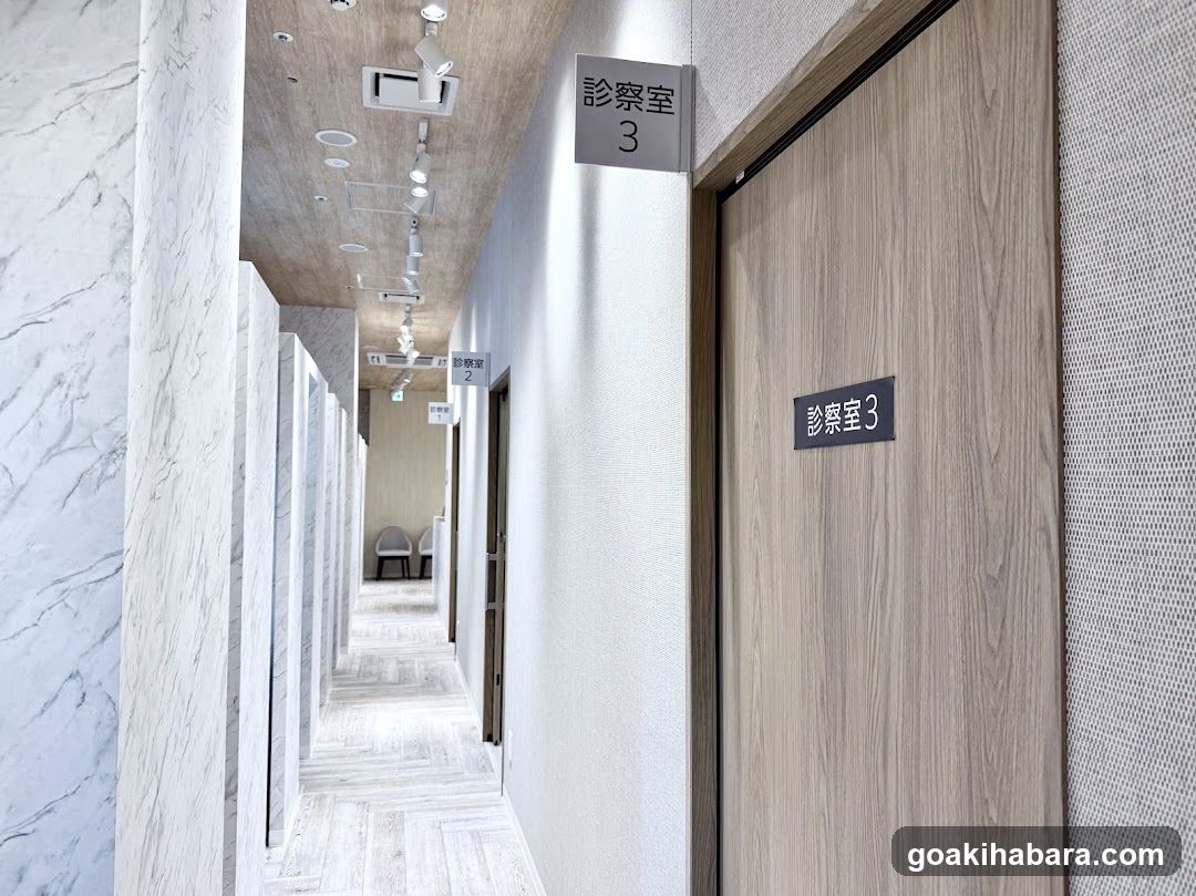 Akihabara Gastrointestinal Endoscopy Clinic