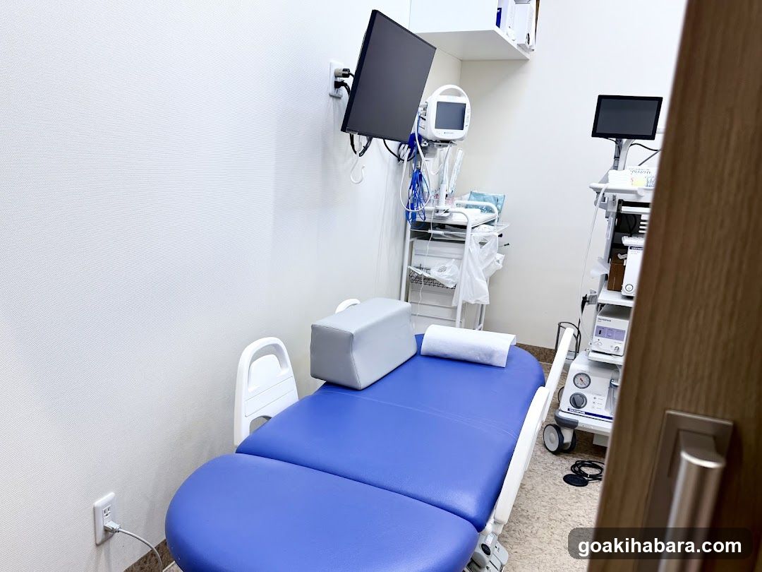 Akihabara Gastrointestinal Endoscopy Clinic