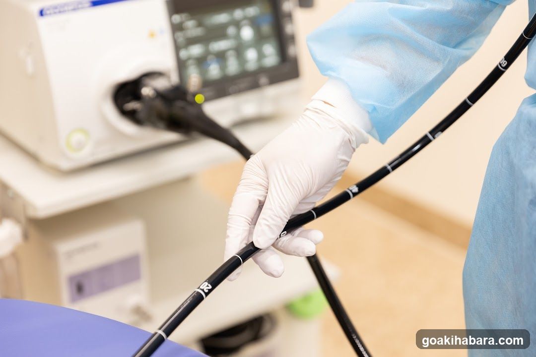 Akihabara Gastrointestinal Endoscopy Clinic