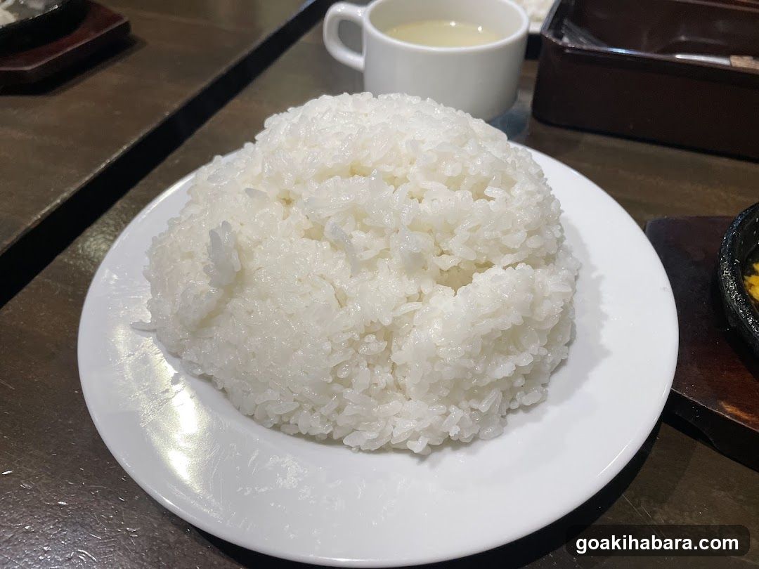 Hamburg Restaurant Gyu-sha Akiba