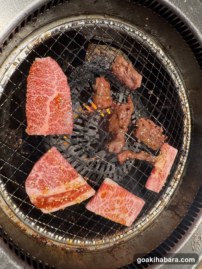 Gyu-Kaku