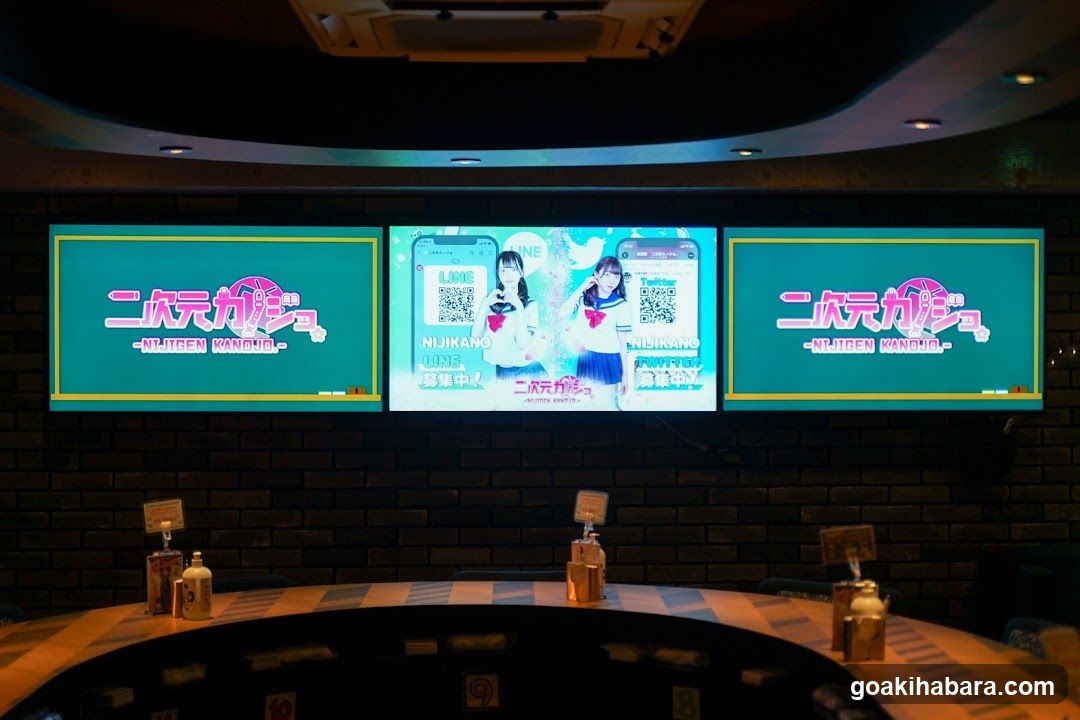 Nijigen Kanojo Akihabara
