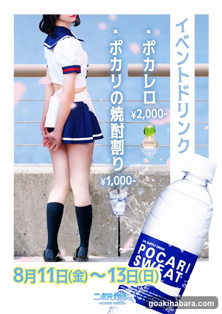 Nijigen Kanojo Akihabara