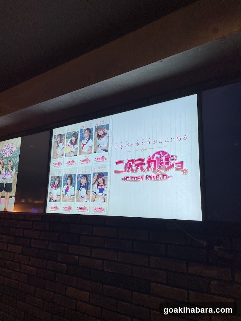 Nijigen Kanojo Akihabara