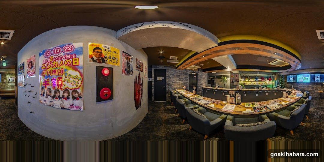 Nijigen Kanojo Akihabara