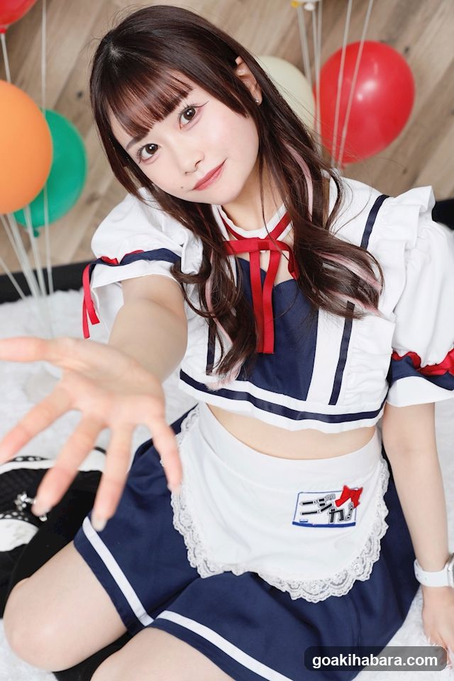 Nijigen Kanojo Akihabara