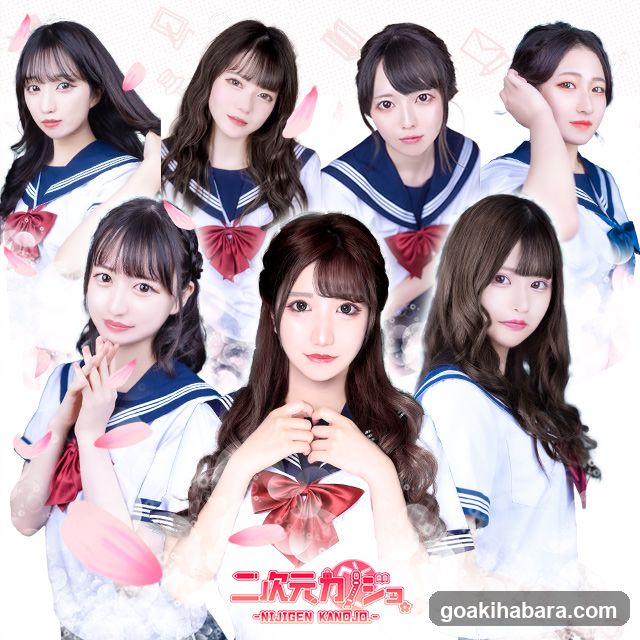 Nijigen Kanojo Akihabara