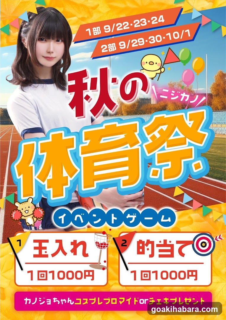 Nijigen Kanojo Akihabara