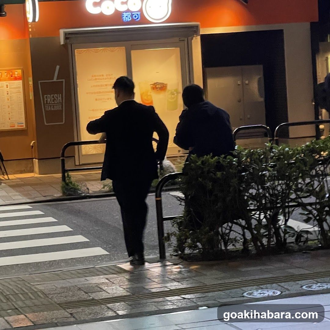 Nijigen Kanojo Akihabara