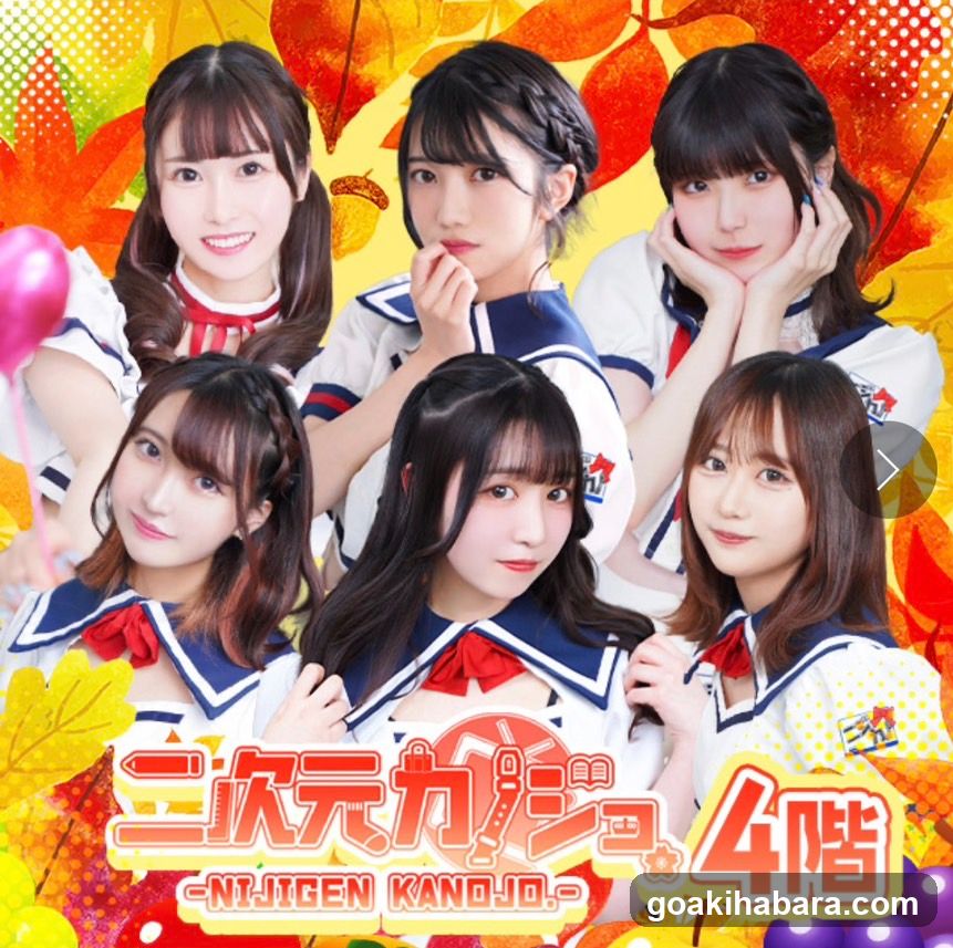 Nijigen Kanojo Akihabara