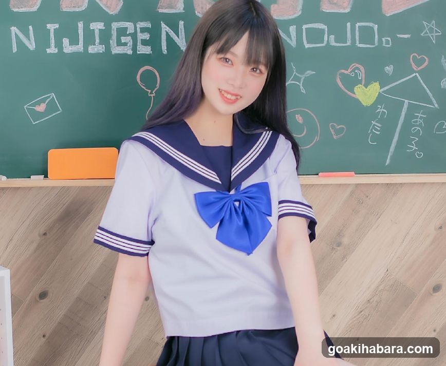 Nijigen Kanojo Akihabara