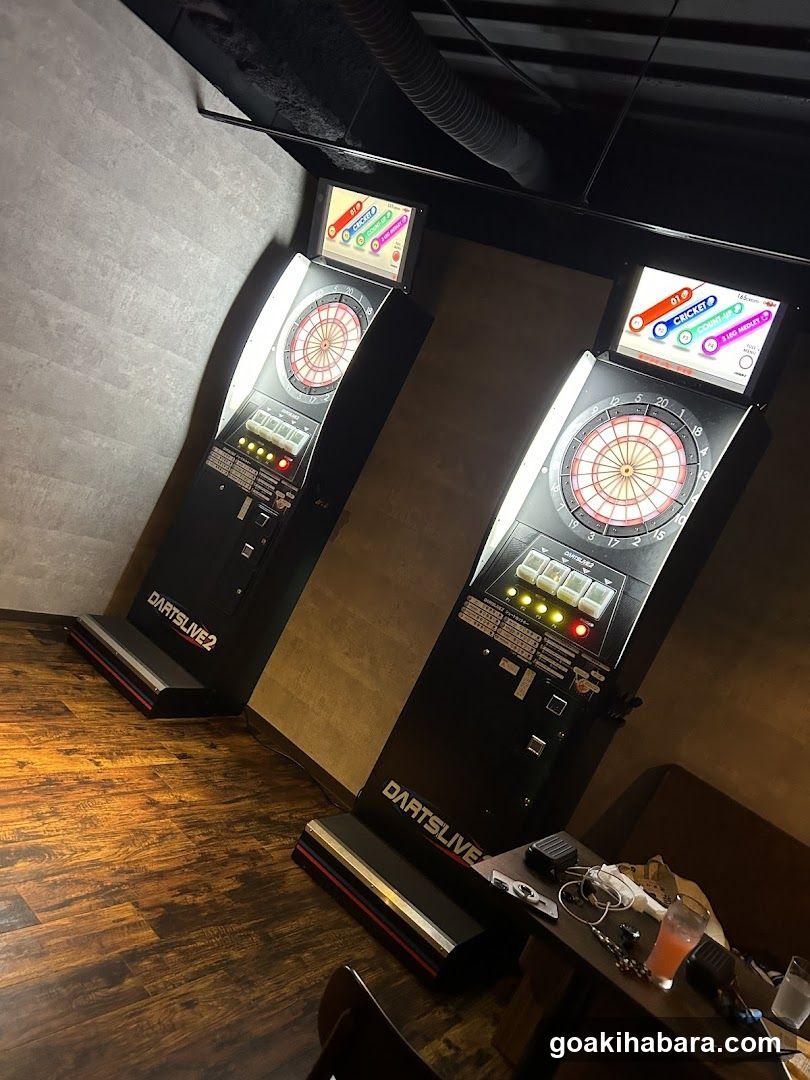 ダーツバー&カラオケバー ZINO(ジーノ)秋葉原昭和通り口店