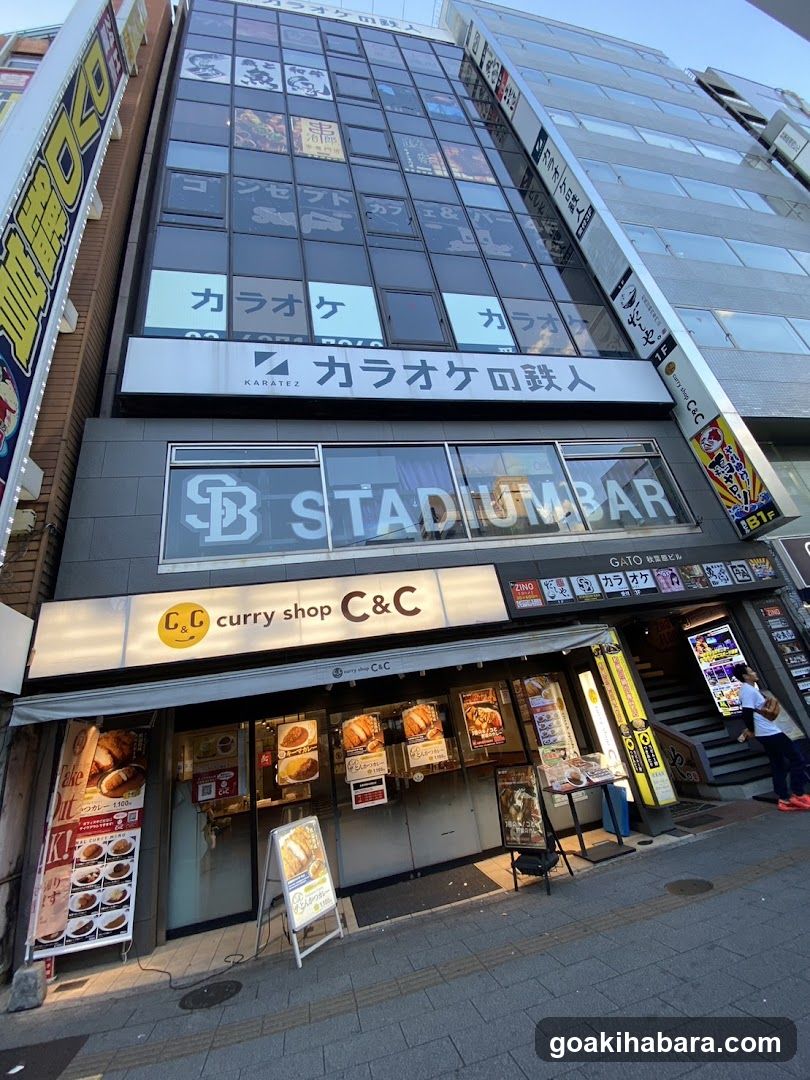 ダーツバー&カラオケバー ZINO(ジーノ)秋葉原昭和通り口店