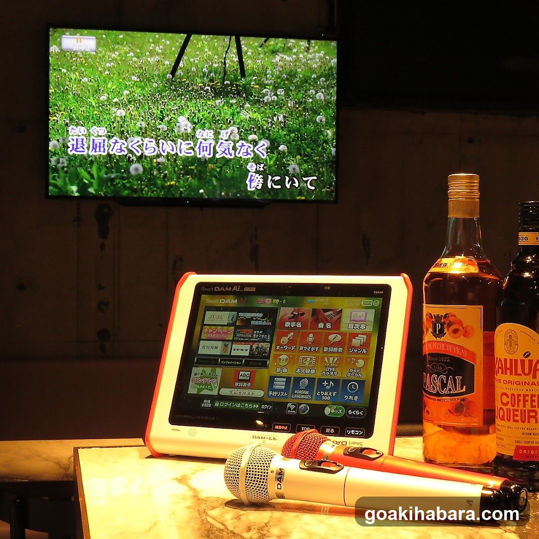 ダーツバー&カラオケバー ZINO(ジーノ)秋葉原昭和通り口店