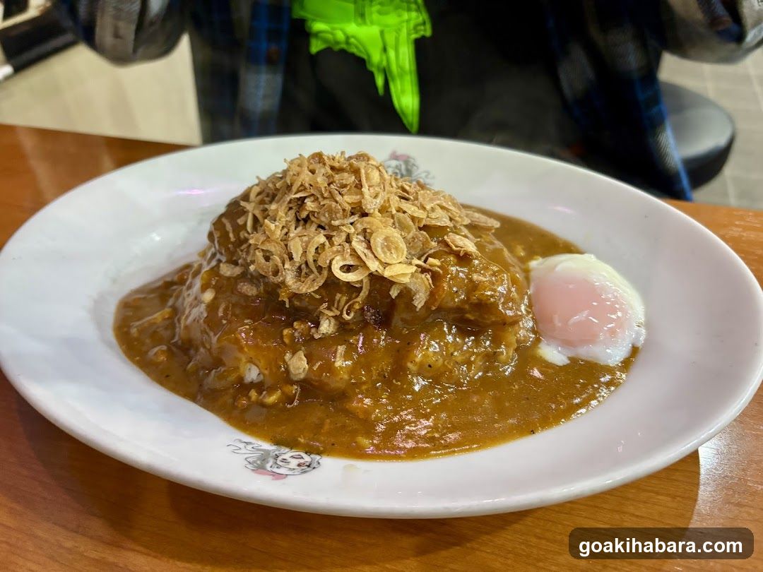 Hinoya Curry Akihabara