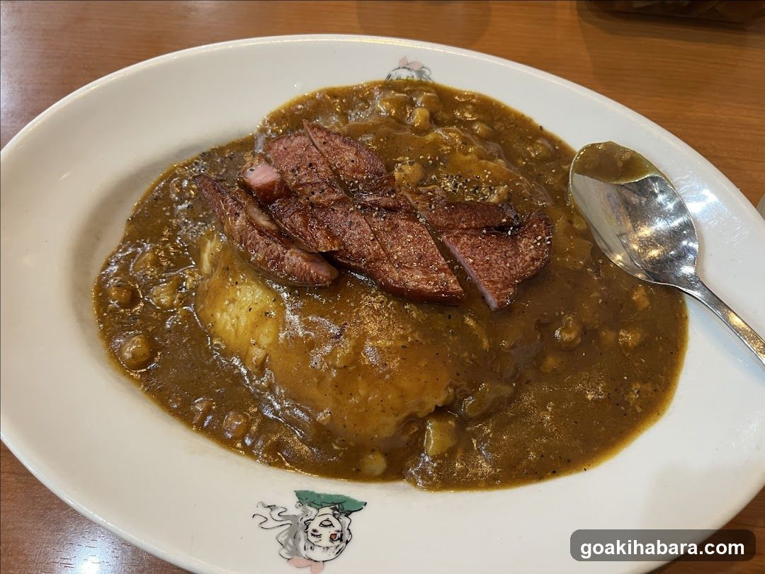 Hinoya Curry Akihabara