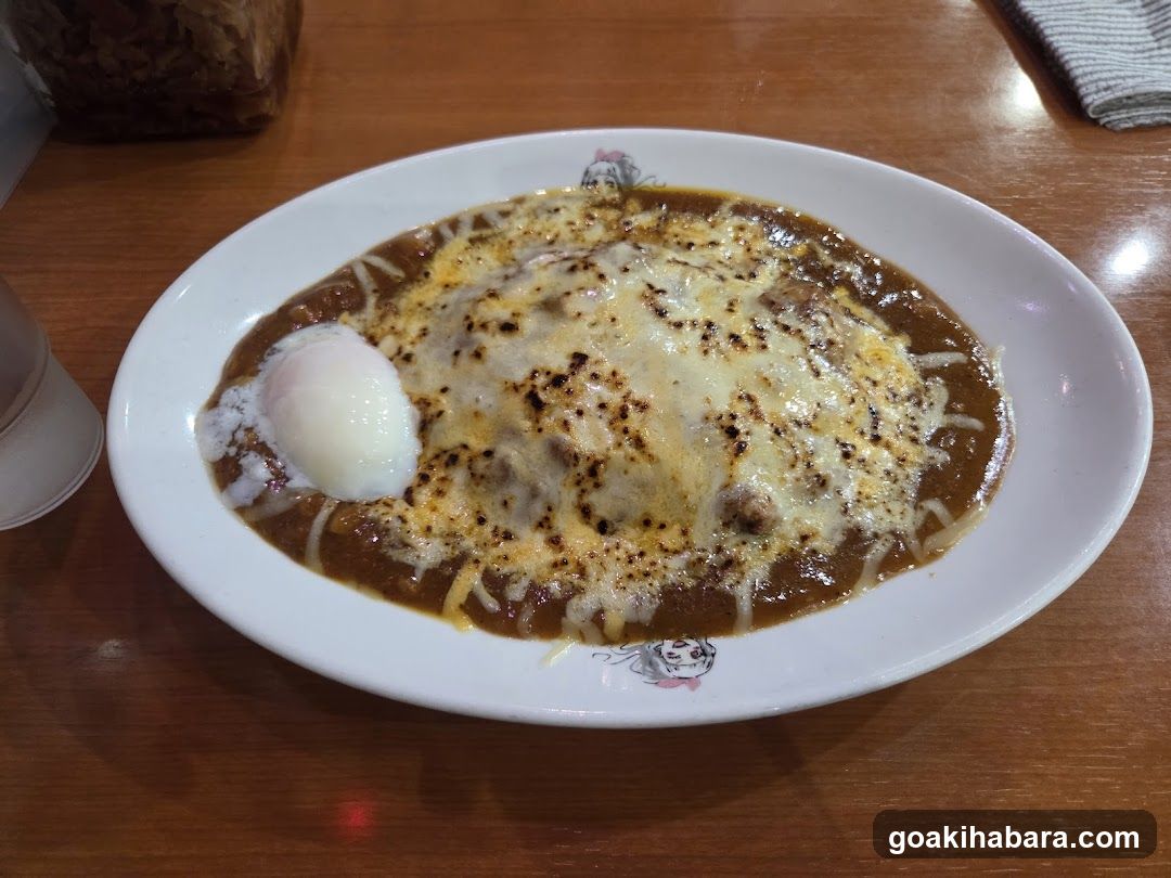 Hinoya Curry Akihabara