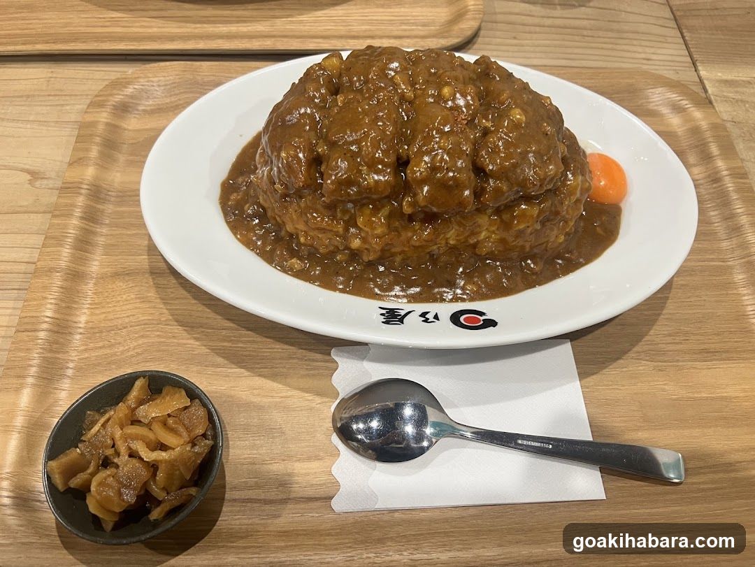 Hinoya Curry Akihabara
