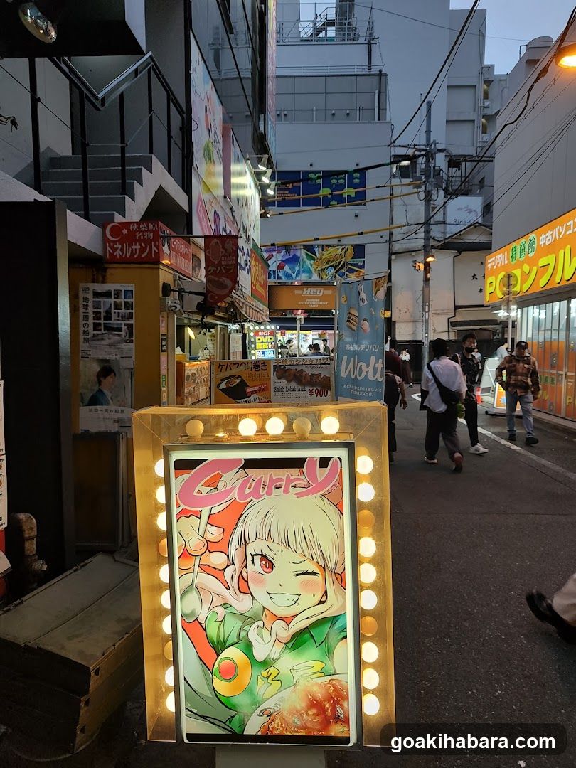 Hinoya Curry Akihabara