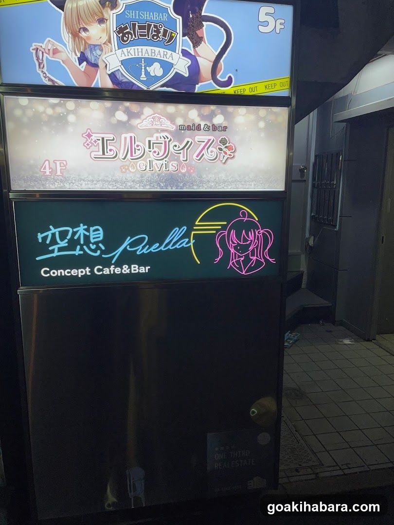 空想ピュエラ