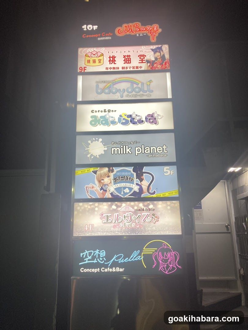 桃猫堂 秋葉原店