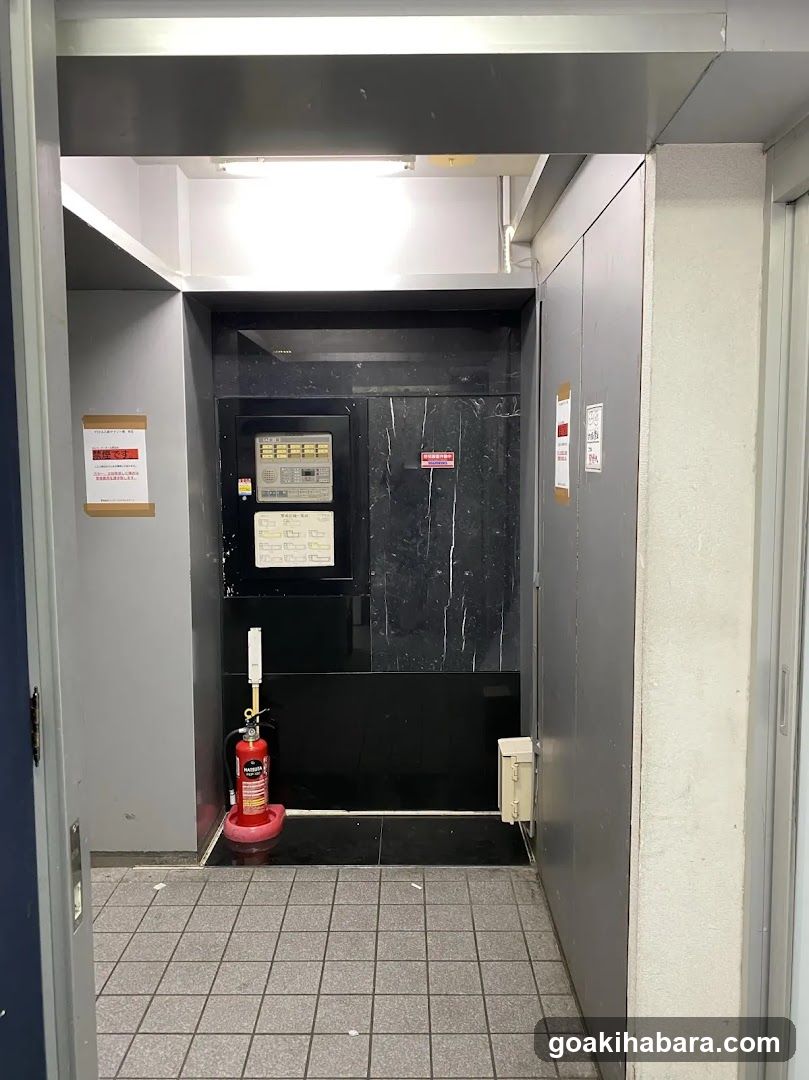 桃猫堂 秋葉原店