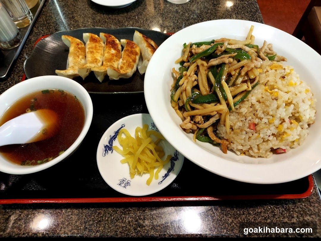 Japanese Meal with Gyoza and Fried Rice