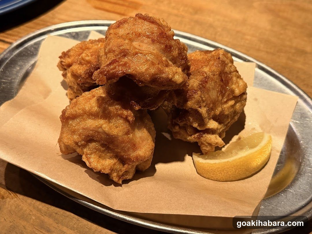 Shintoku Tsukada Nojo Akihabara Manseibashi
