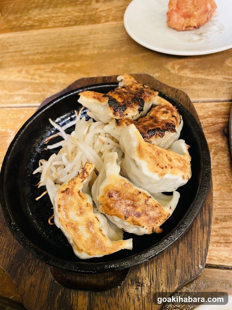 Shintoku Tsukada Nojo Akihabara Manseibashi