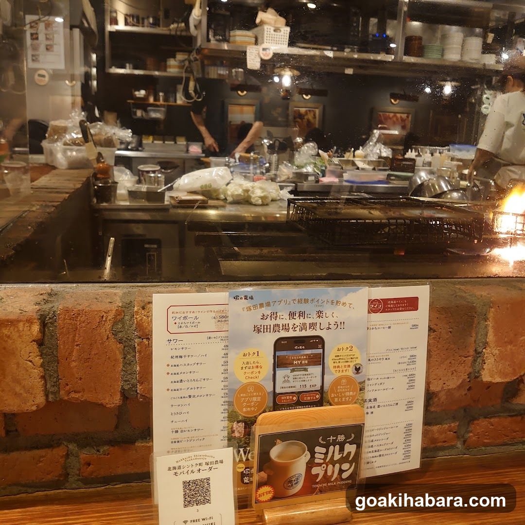 Shintoku Tsukada Nojo Akihabara Manseibashi
