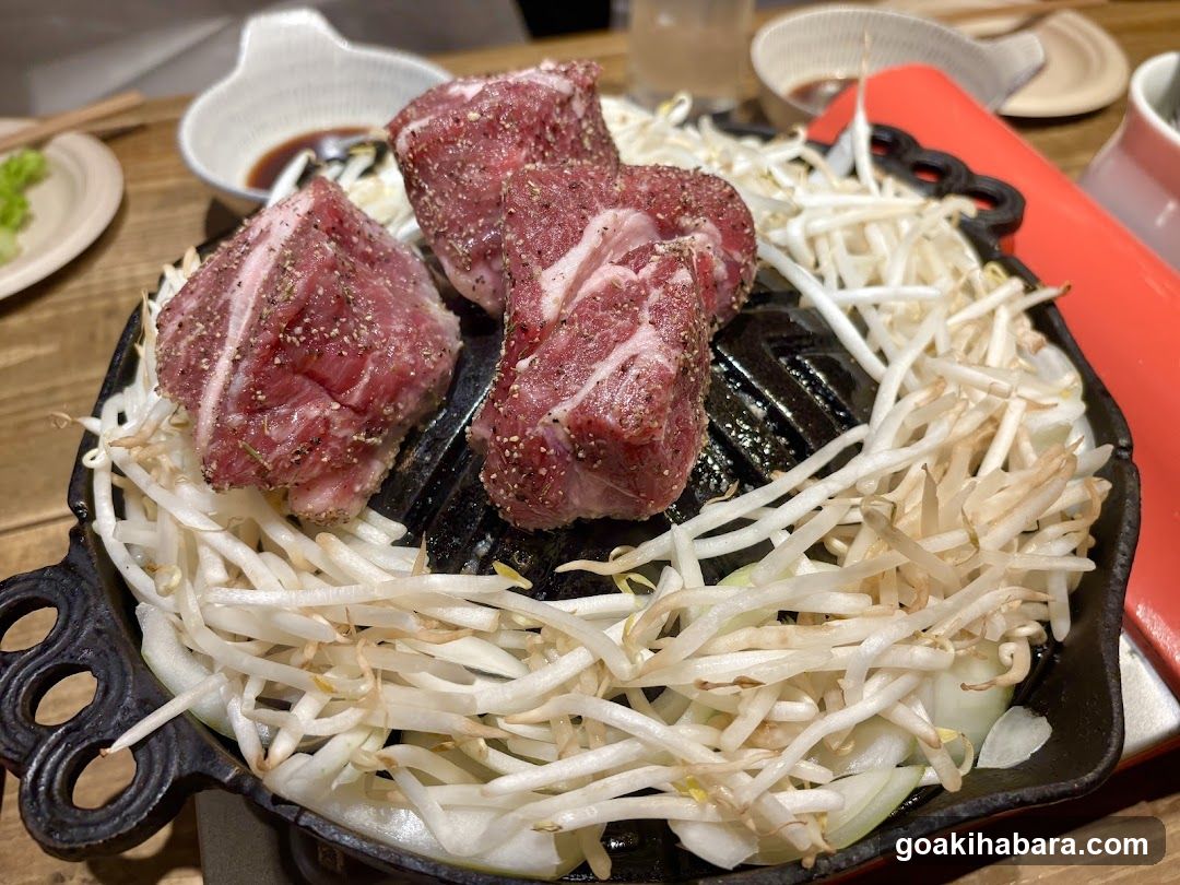 Shintoku Tsukada Nojo Akihabara Manseibashi