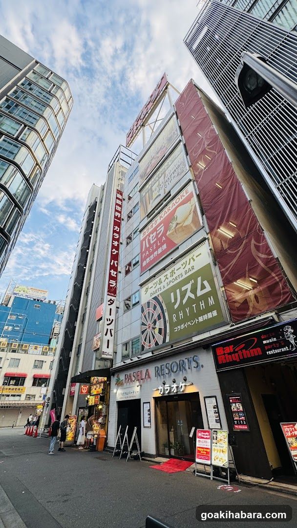 Darts&Sports Bar|Bar Rhythm Akihabara Denkigai