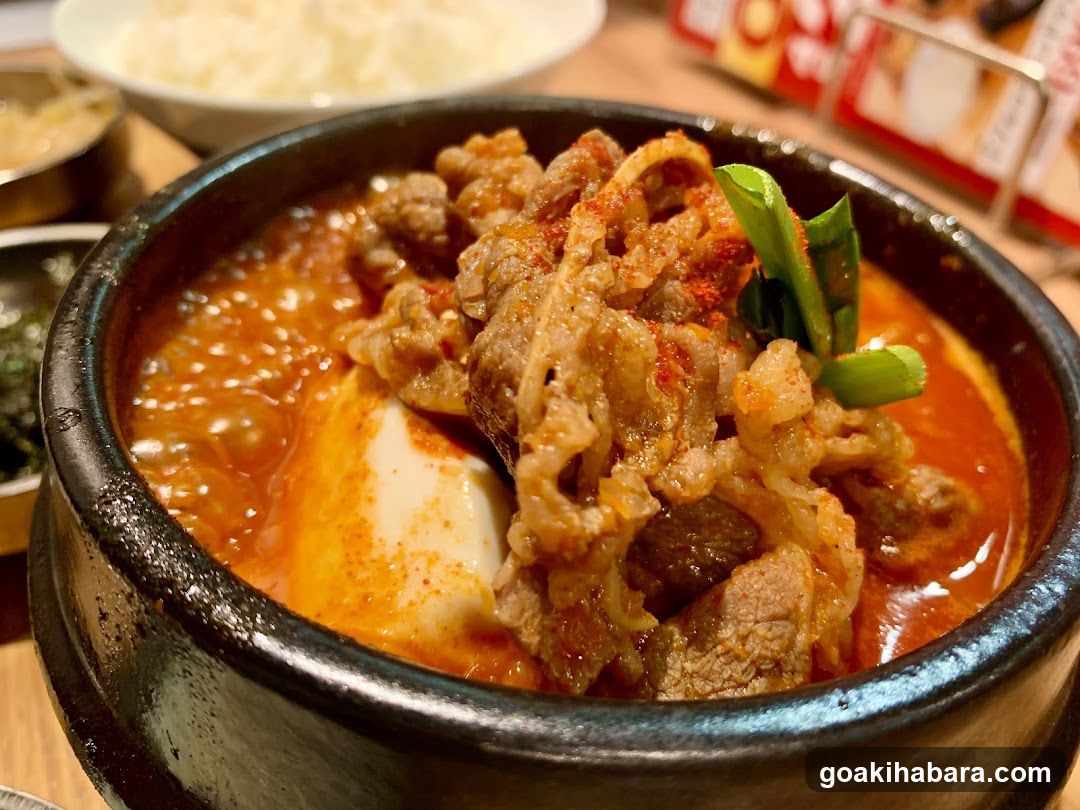 Sundubu Nakayama Tofu Shop Akihabara