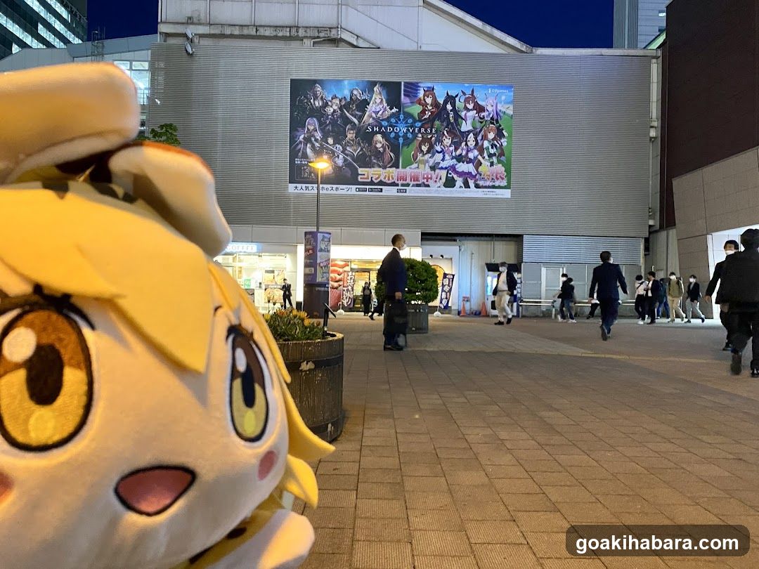 ABC MART Atre Akihabara 1