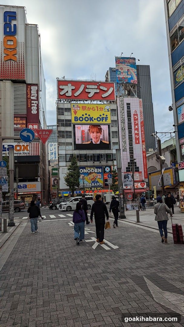 Akihabara X