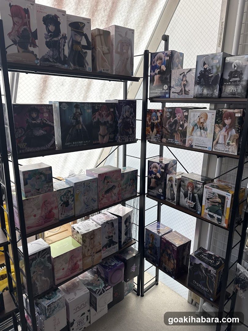 TOKYO HOBBY CENTER GEAR２