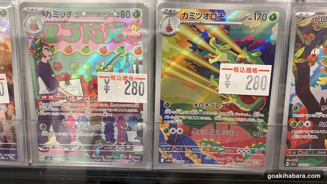 Torecaru Akihabara Station Store
