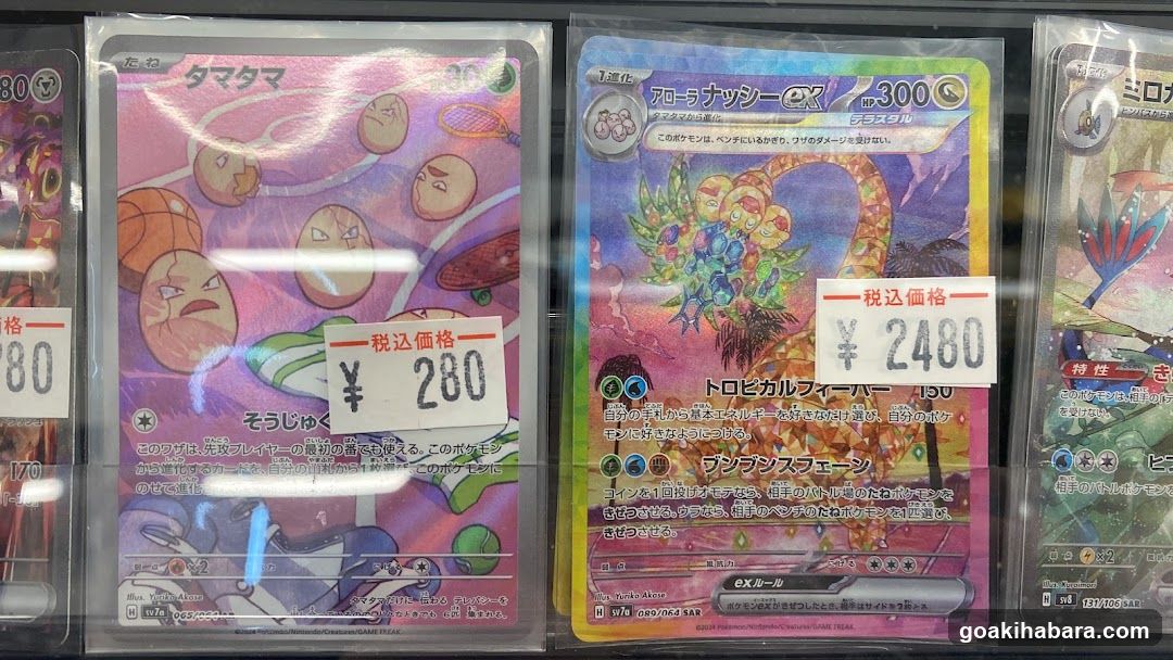Torecaru Akihabara Station Store