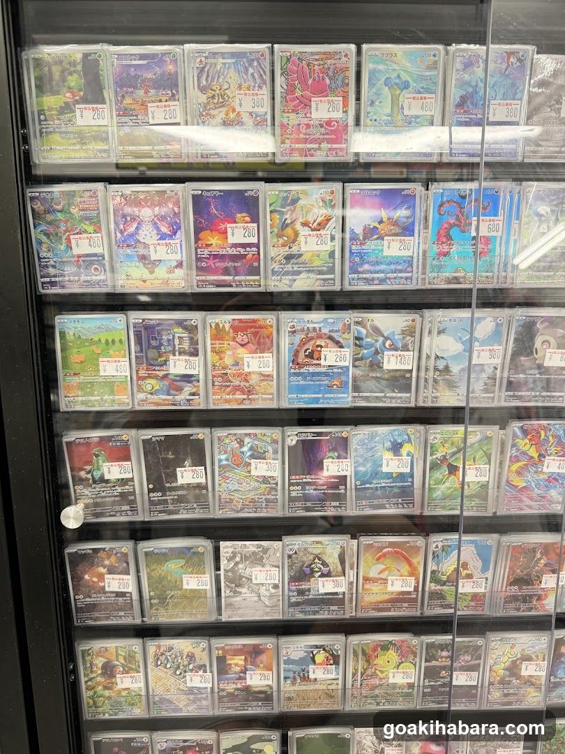 Torecaru Akihabara Station Store