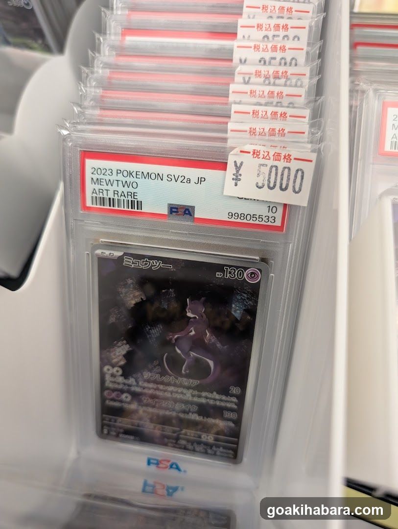 Torecaru Akihabara Station Store