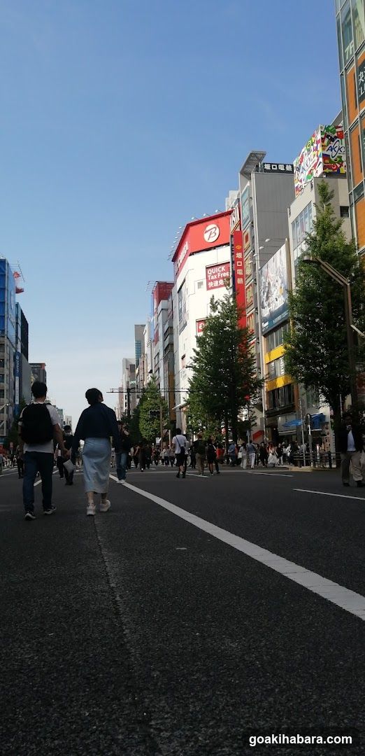 Torecaru Akihabara Station Store