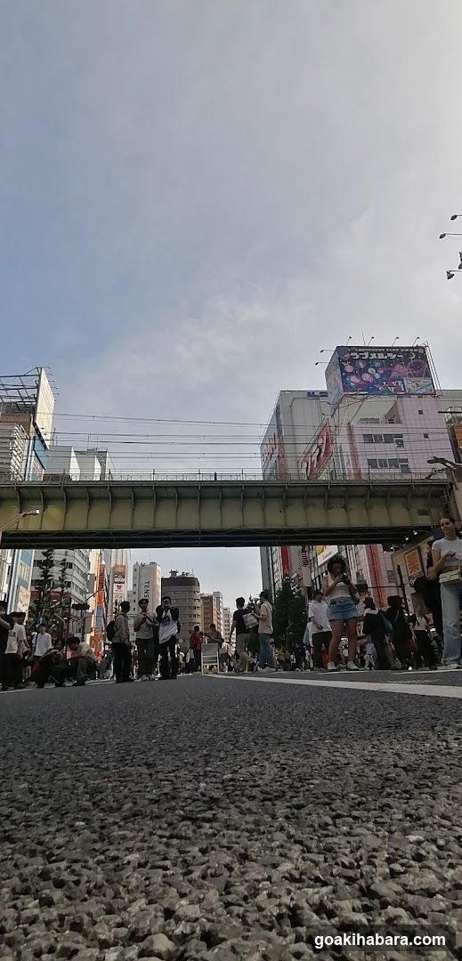 Torecaru Akihabara Station Store