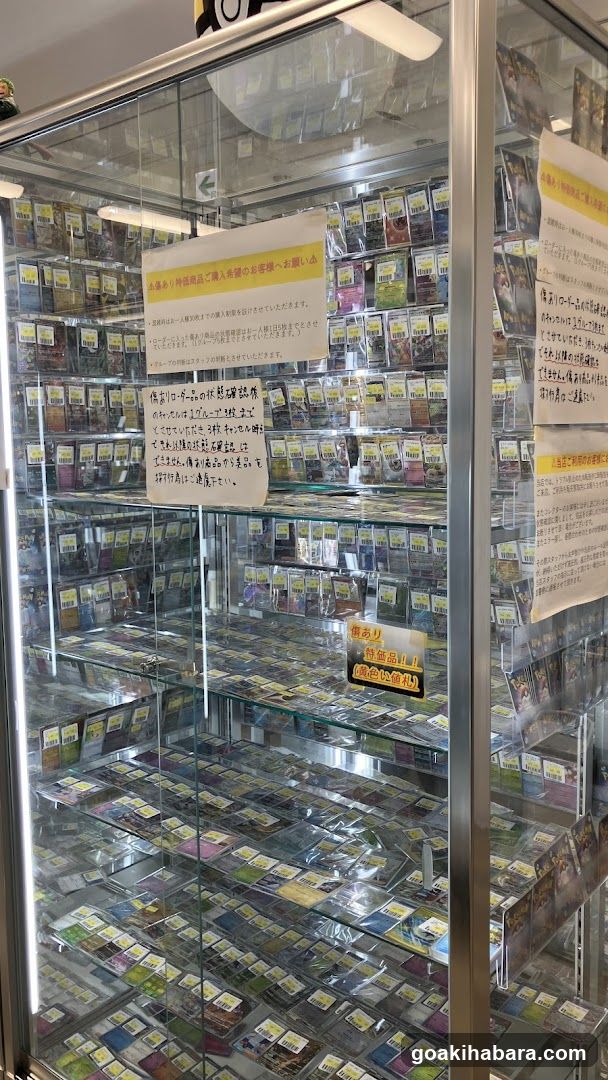Torecaru Akihabara Station Store