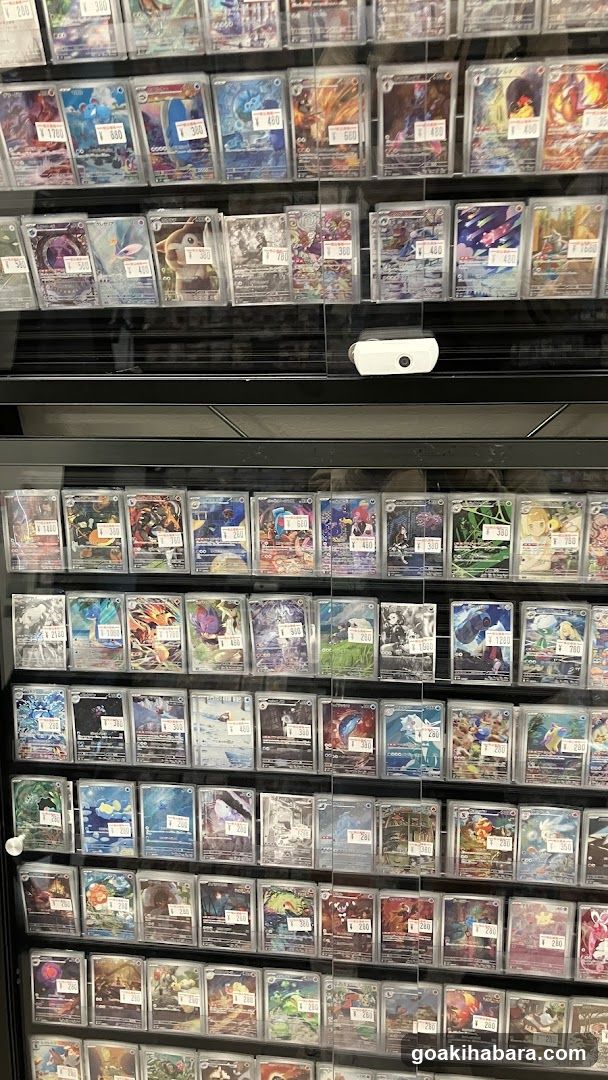 Torecaru Akihabara Station Store
