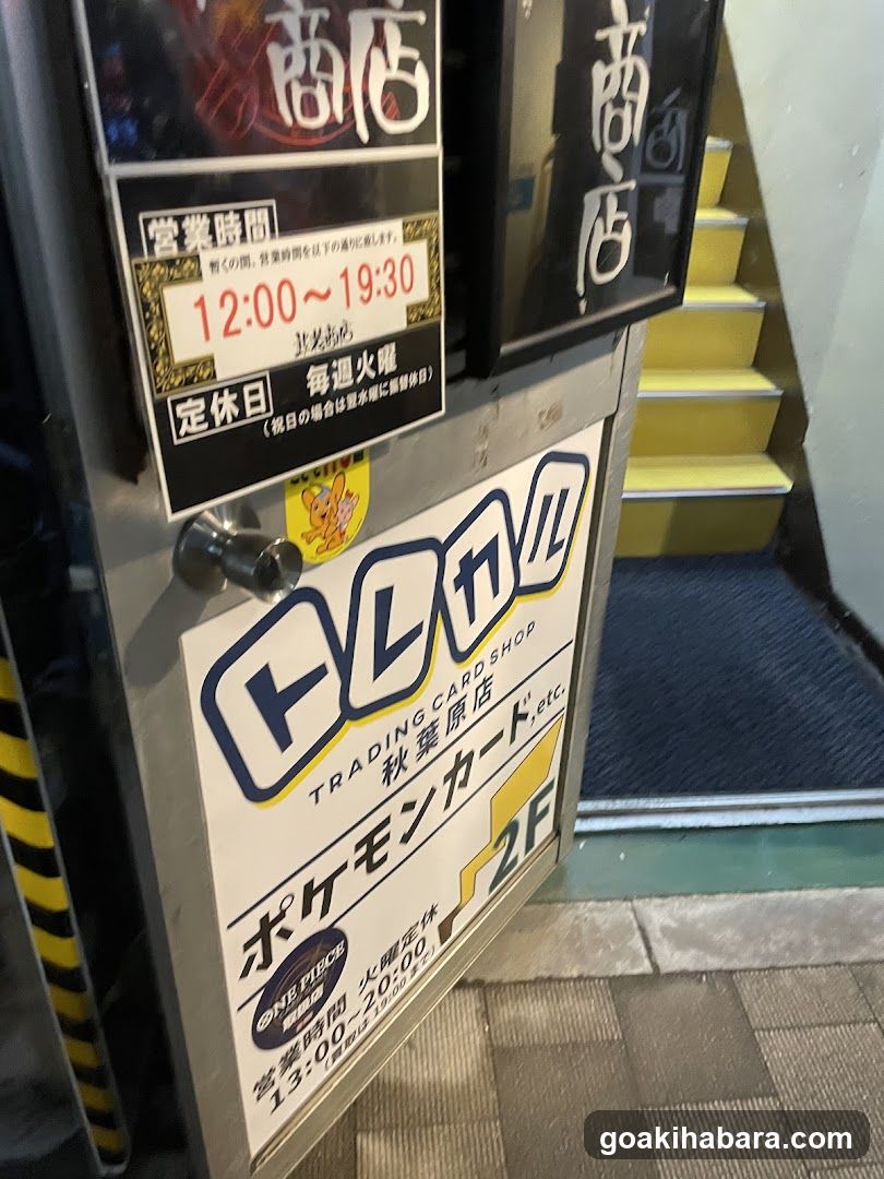 Torecaru Akihabara Station Store