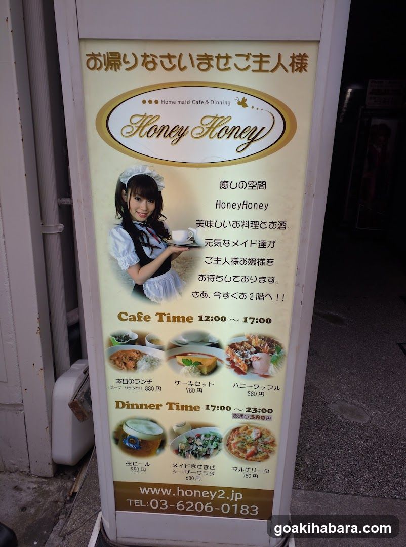 HoneyHoney Akihabara