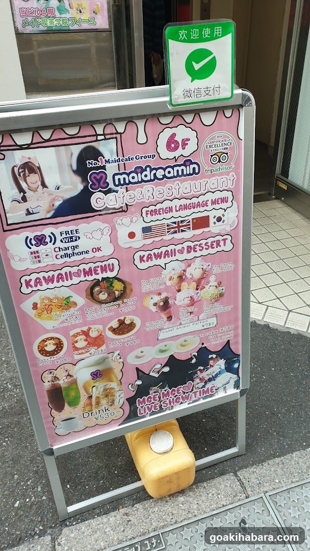 HoneyHoney Akihabara